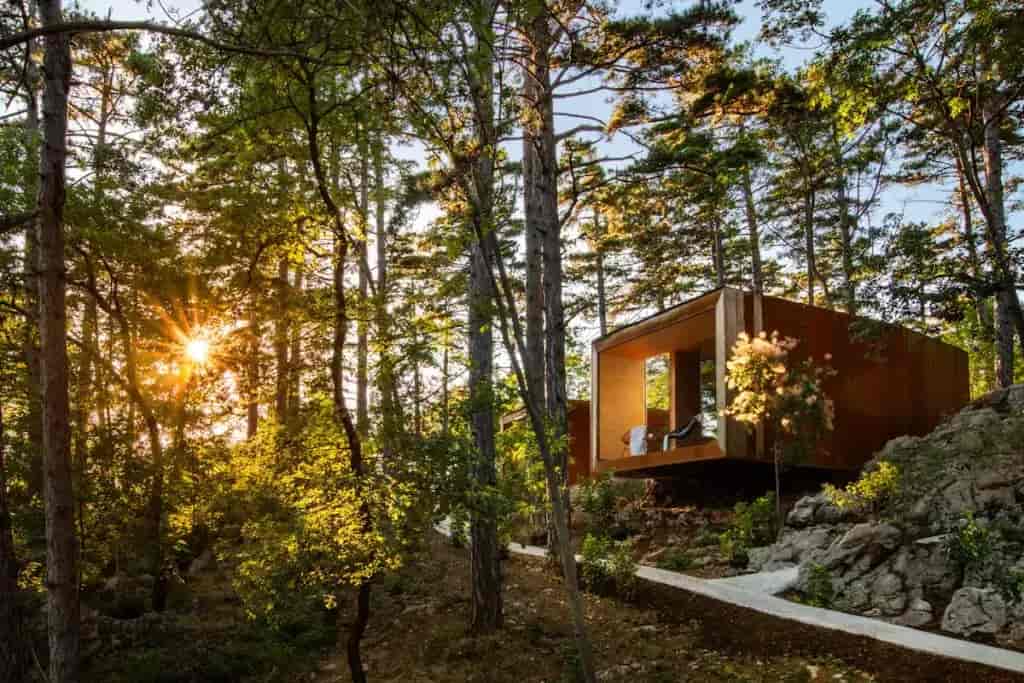 Glamping Vipava modern cabin nestled in sunlit forest with tall pine trees