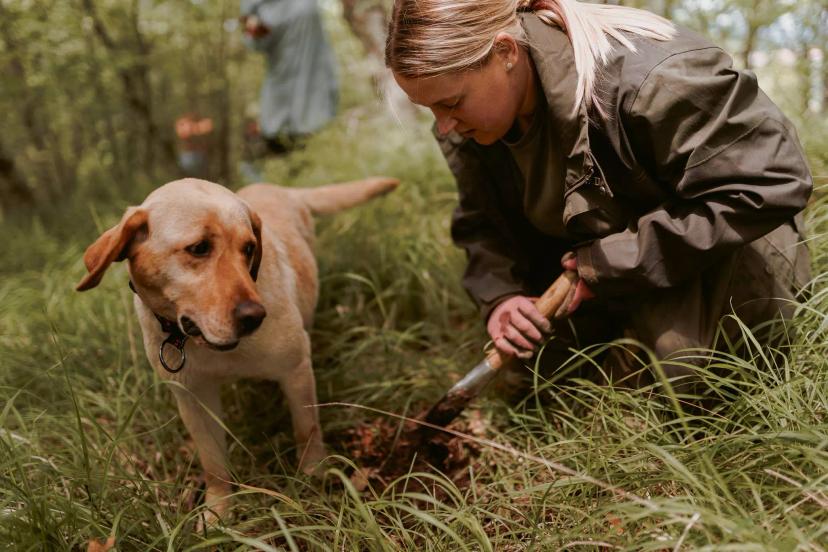 slovenia truffle hunting