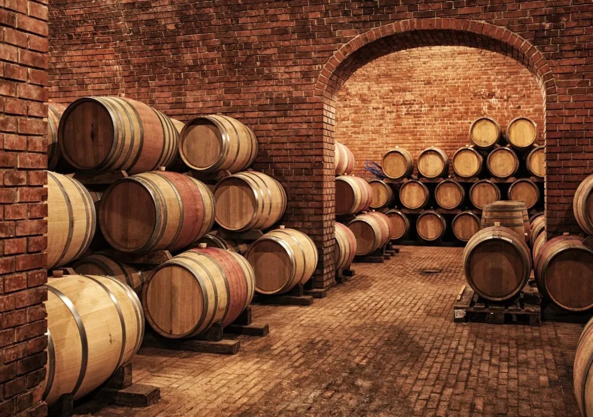 Wooden wine barrels stacked in a traditional brick cellar with an arched doorway.