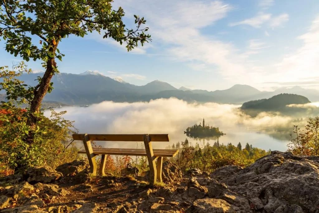 Wooden bench overlooking Lake Bled island church above morning fog and mountains
