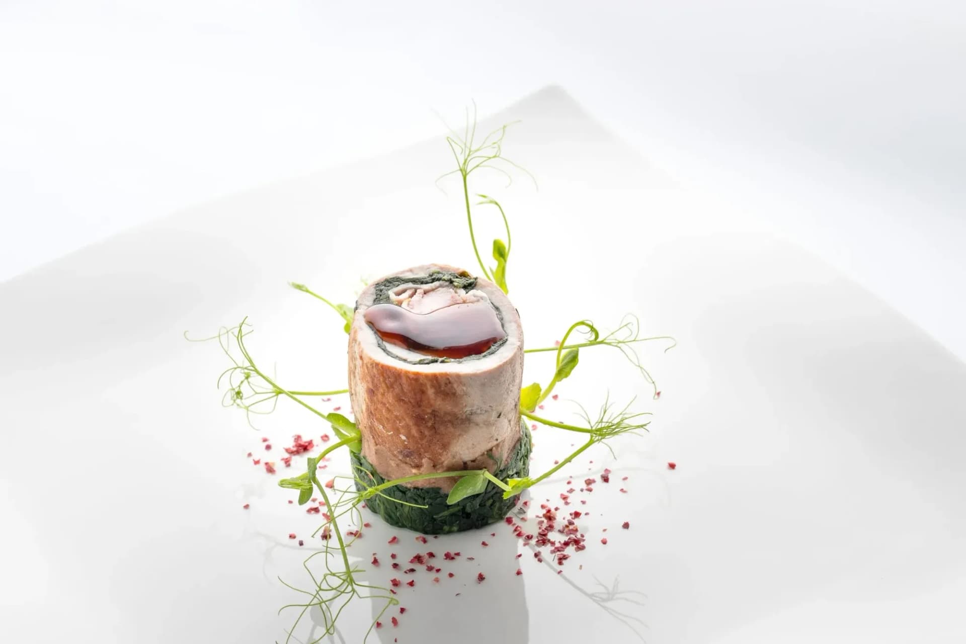 Gourmet meat roulade with dark sauce, spinach, and microgreens on a white plate.