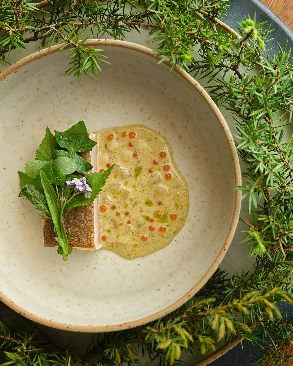 Gourmet fish with sauce, roe, and greens in a speckled bowl surrounded by pine branches.