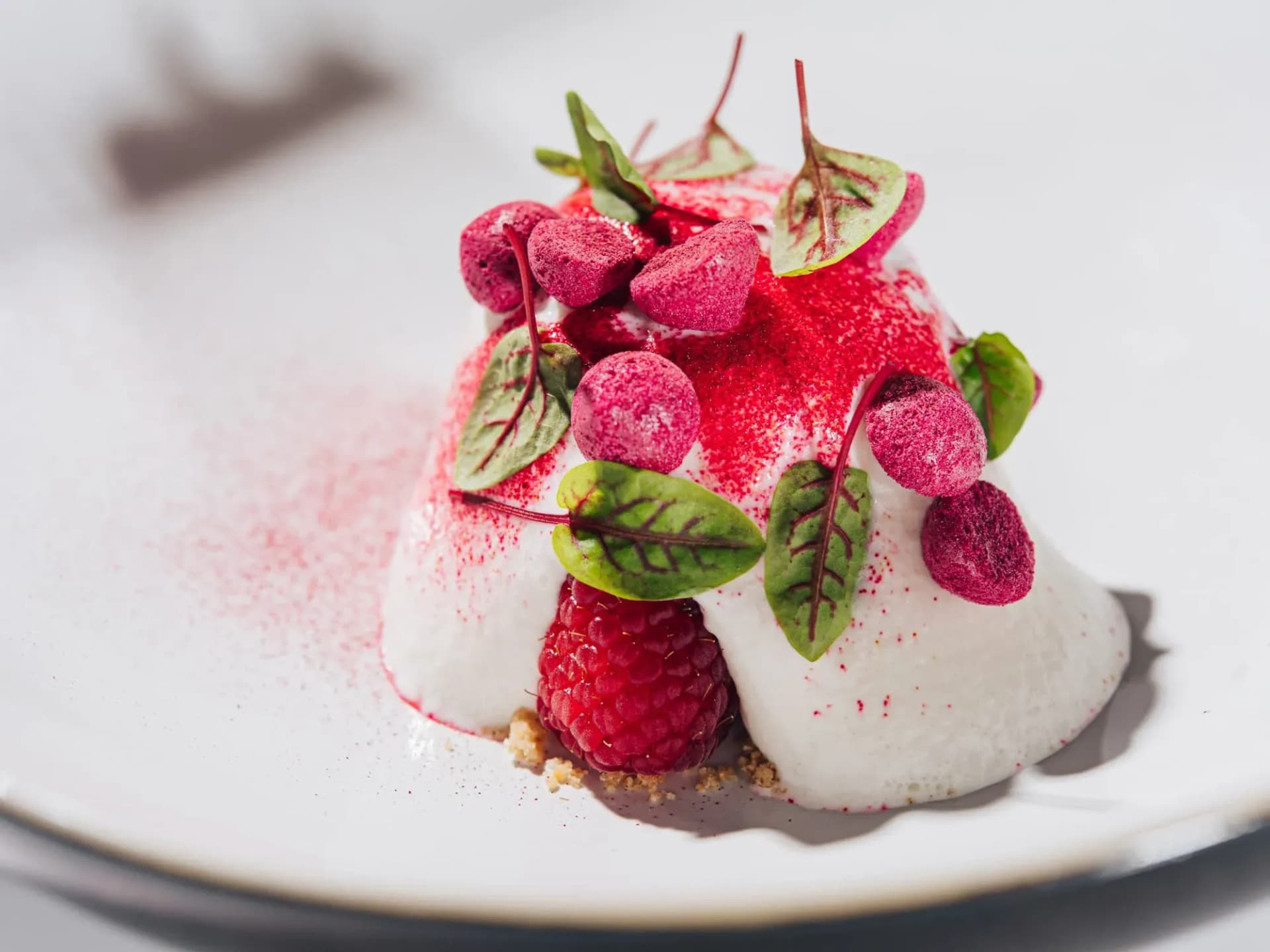 White dessert with raspberry, freeze-dried berries, and microgreens on a white plate