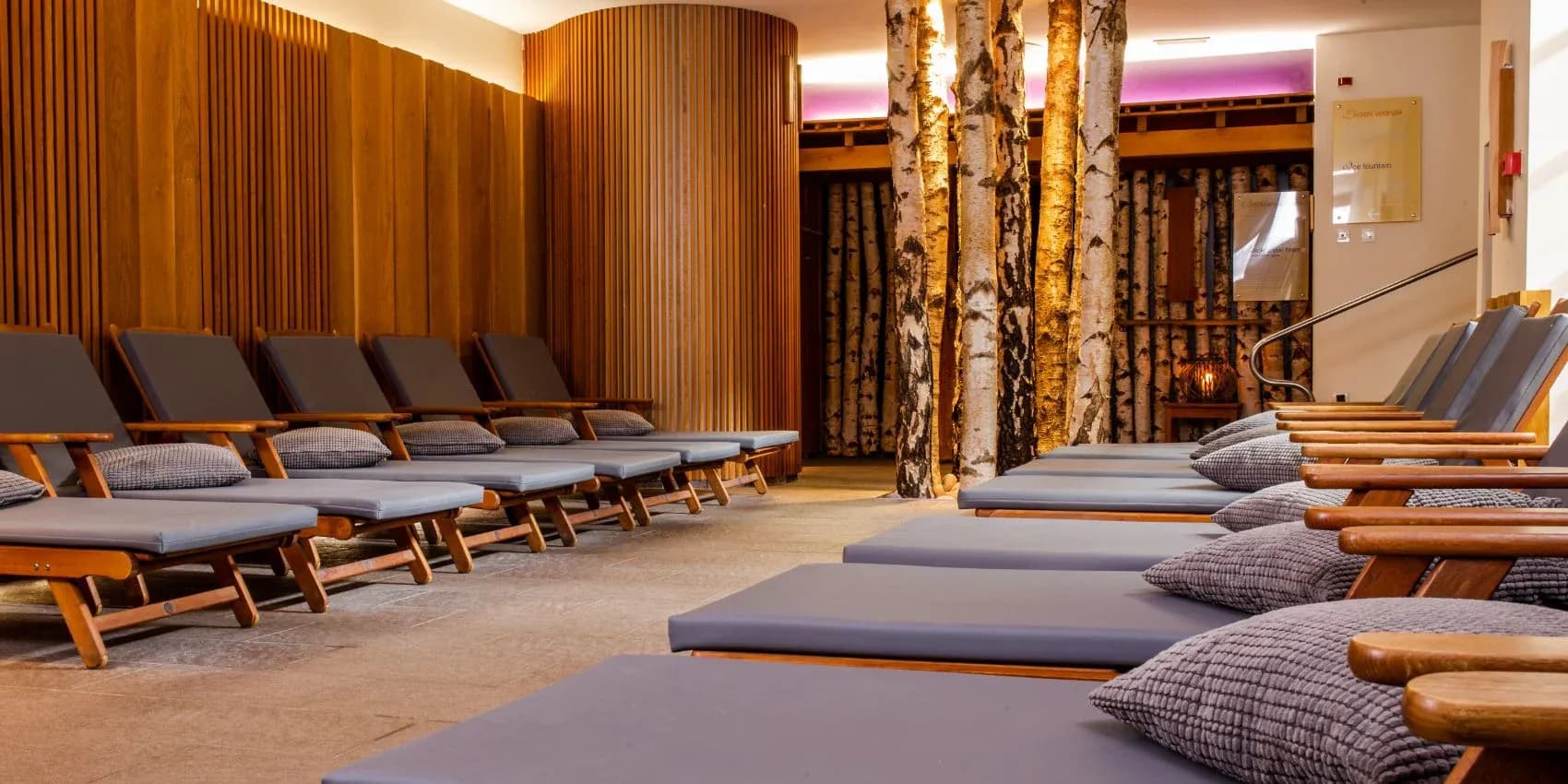 Relaxation room with wooden loungers, grey cushions, and birch tree decor in Šmarješke Toplice.