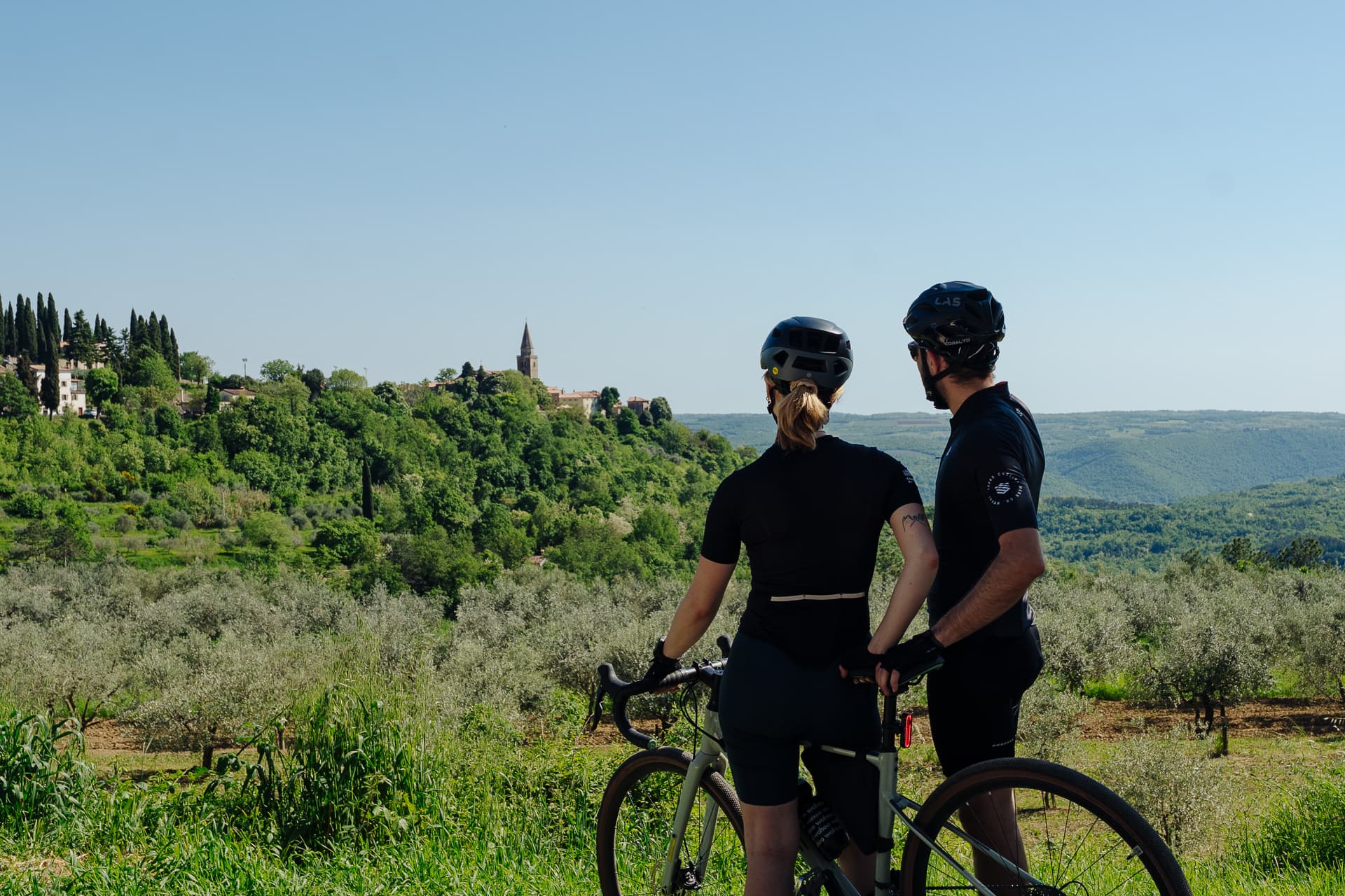 Cyclists with bikes looking over olive groves toward a hilltop town with a bell tower.