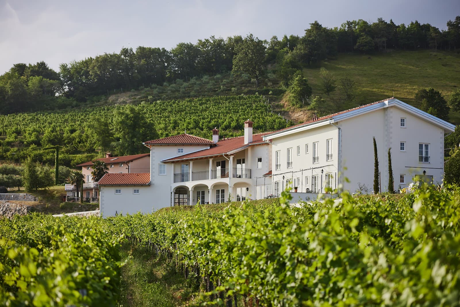 White vineyard estate buildings nestled among lush green grapevines on a hillside.