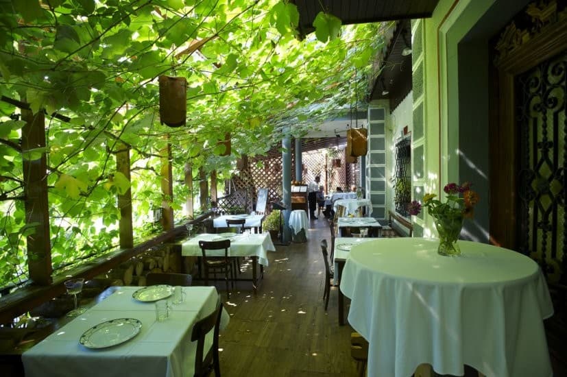 Outdoor restaurant terrace shaded by lush green grapevines with set tables.