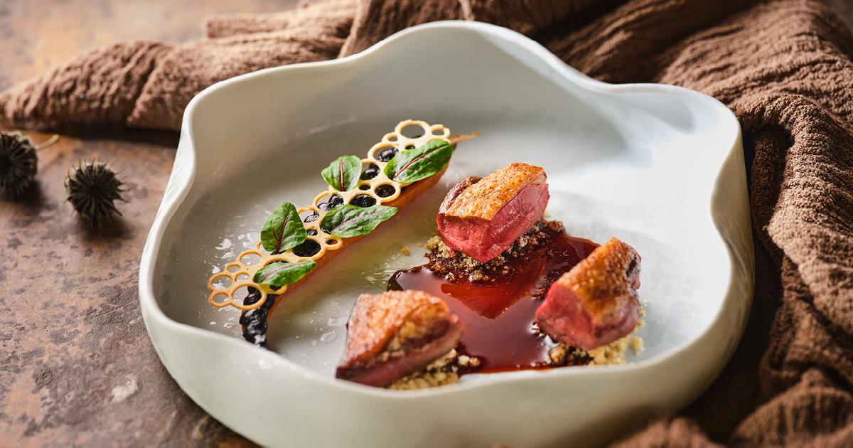 Seared duck breast with sauce, garnish, and greens in a white, wavy dish at Restavracija Grad Otočec.