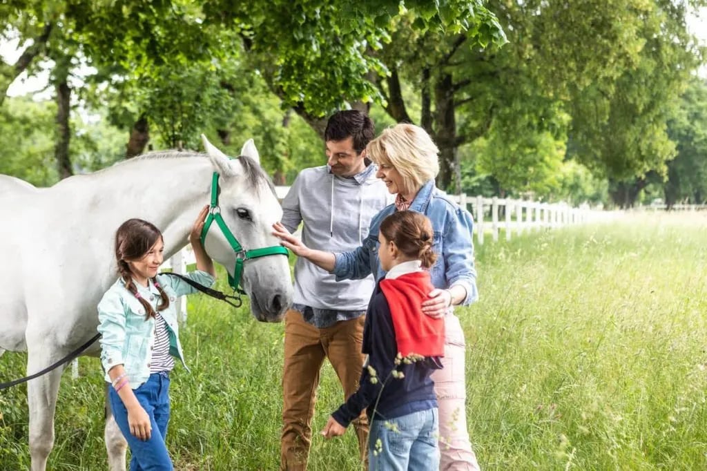 Family petting a white Lipizzaner horse in a sunny, grassy field with trees.