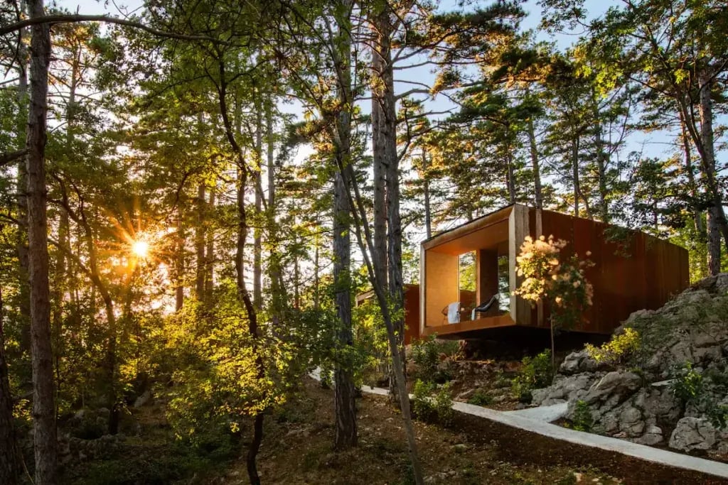 Glamping Vipava modern cabin nestled in sunlit forest with tall pine trees