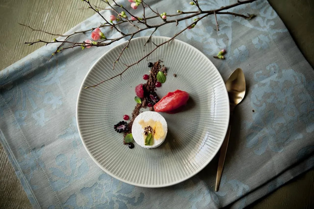 Dessert with white mousse, red sorbet, berries, and blossoms at Restaurant Otočec Castle.
