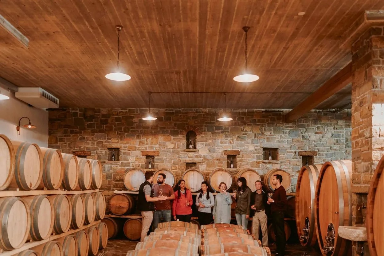 Wine tasting group standing among stacked oak barrels in a Goriska Brda cellar.