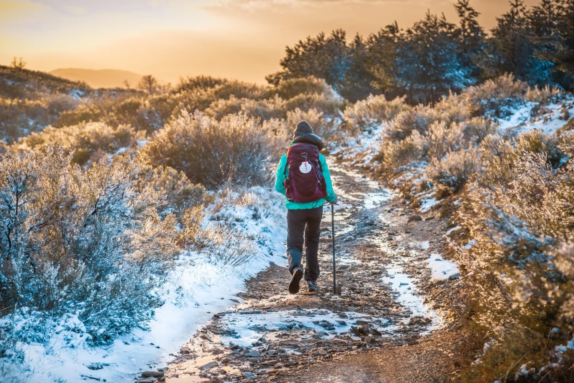 Girl Pilgrim Hiker on the Snow Winter Mountain Forest Evening on the Way of St James Pilgrimage Trail Camino de Santiago outside El Acebo at Sunset
