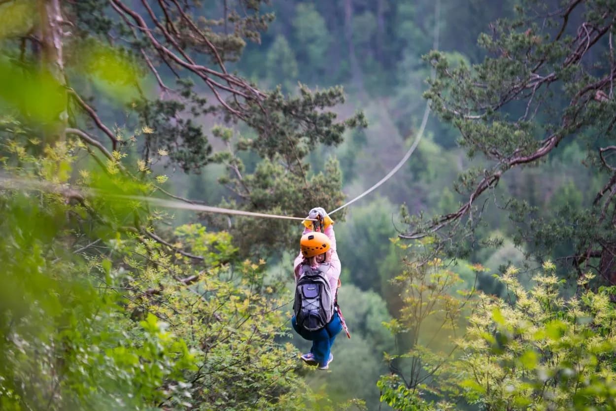 Ziplining over a lush green forest canopy near Bled, Slovenia.