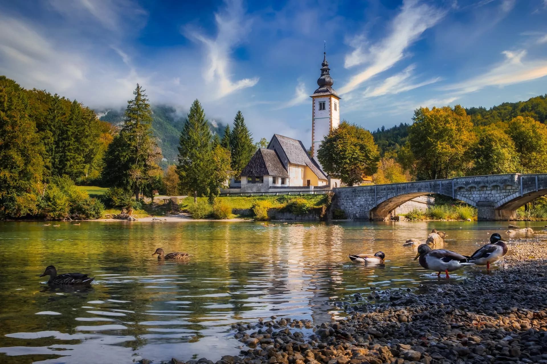 Ducks on rocky shore of Bohinj lake with church and stone bridge, mountains in background.