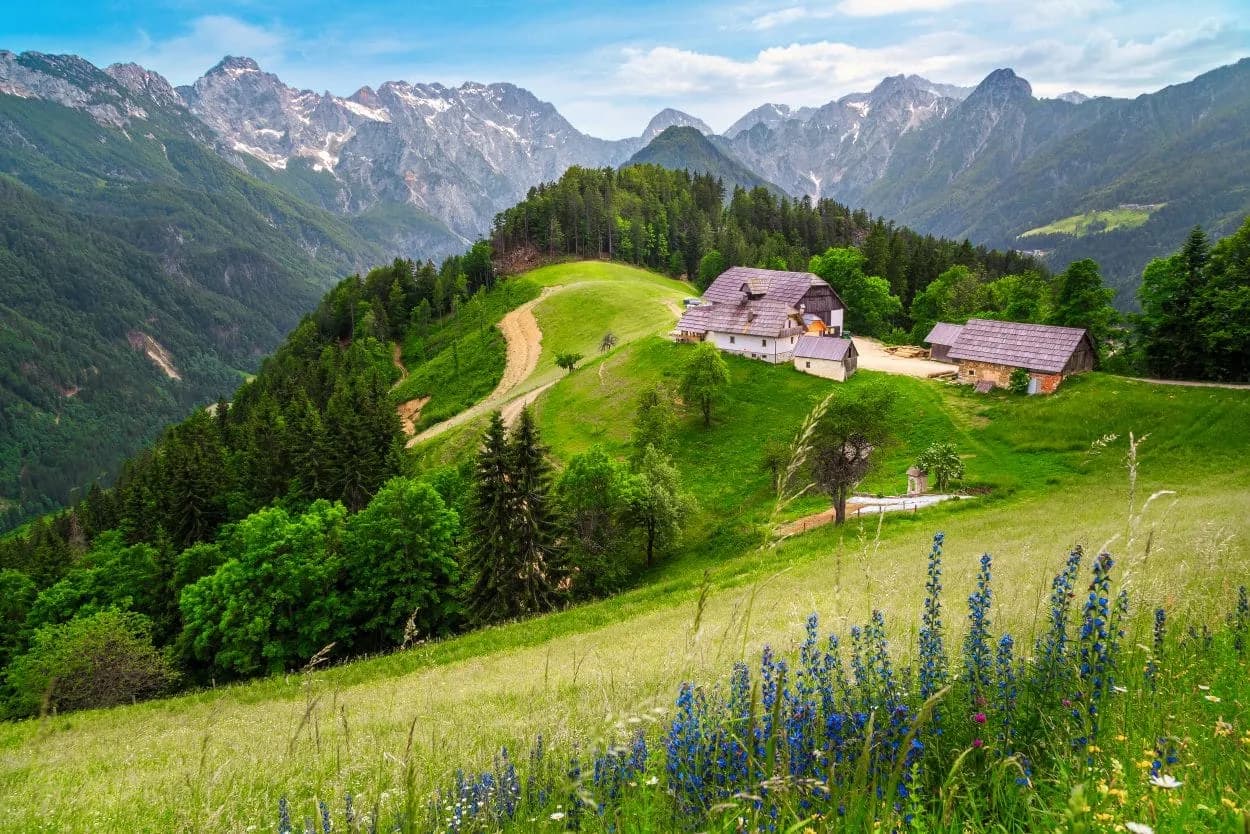 Farmhouses on green hillside with wildflowers, overlooking snow-capped mountains in Logar Valley.