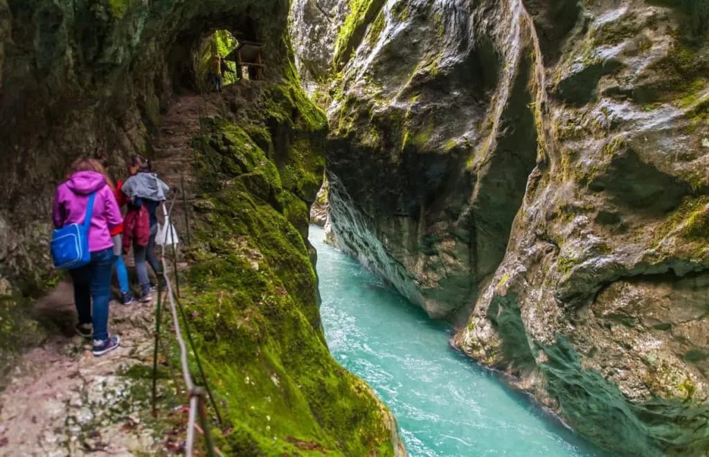 Hikers on mossy trail beside turquoise river in Tolmin Gorge canyon.