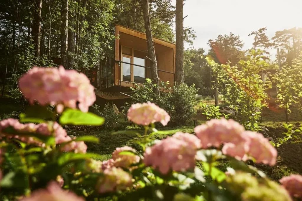 Glamping cabin in the woods with pink hydrangeas in the foreground, Vipava.
