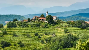 Verken de beroemde wijnstreek van Goriška Brda