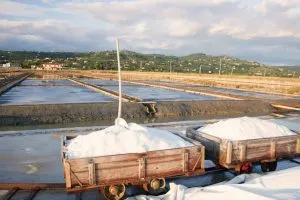 secovlje saltpannor på slovenska kusten